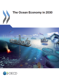 The Ocean Economy in 2030